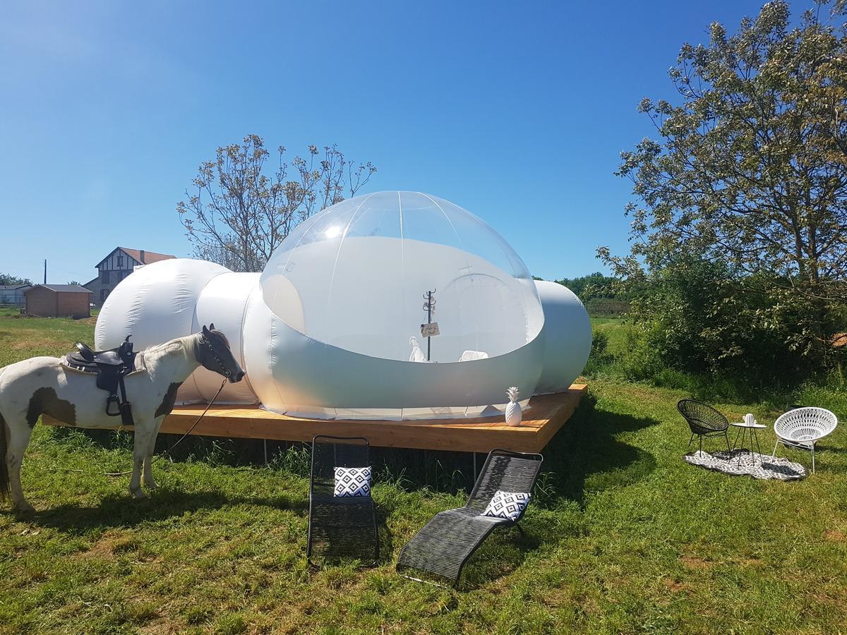 Coachella Guest House Lanouaille ภายนอก รูปภาพ